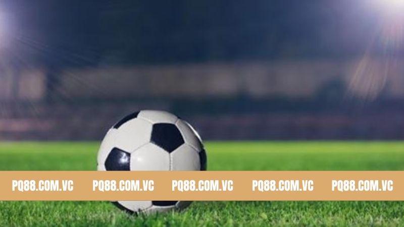 Bí quyết ghi nhớ các thuật ngữ và sử dụng chúng khi đặt cược